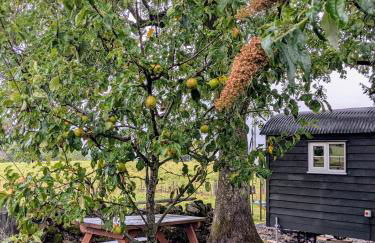 The Rodney Shepards hut - Photo 9