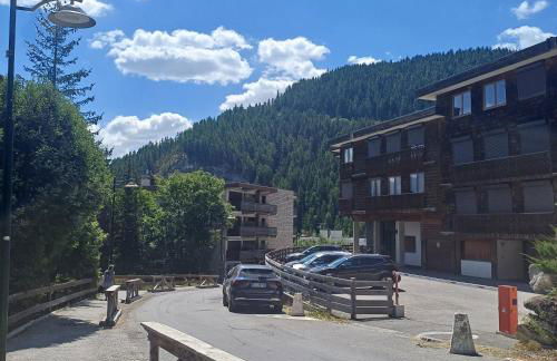 Appart PRA LOUP près des pistes - Foto 22