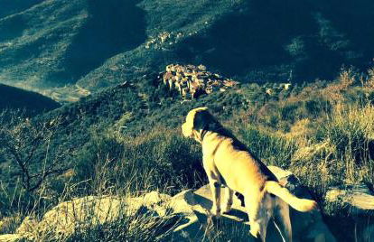 Panoramic Rural House With Garden - Photo 71