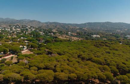 Holiday home with large sunny terrace, Costabella - Foto 40