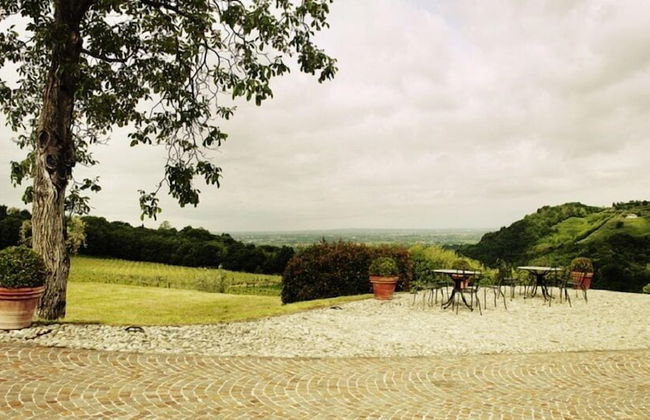 L'Uva e le stelle - Foto 43