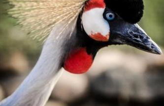 Apartment Turmwohnung by Interhome - Foto 19