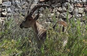 vistas a mar, en paraje natural - Foto 59