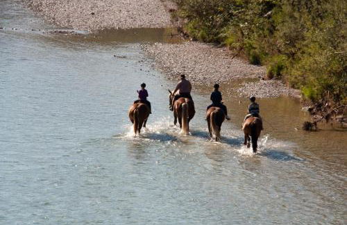 Lamprechthof - Foto 15