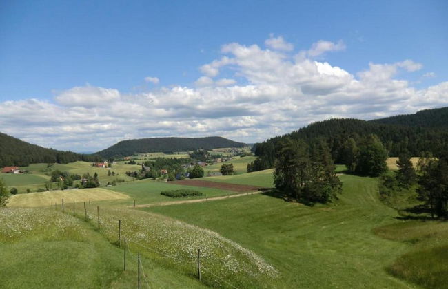 Charming Apartment, Harz Region - Foto 27