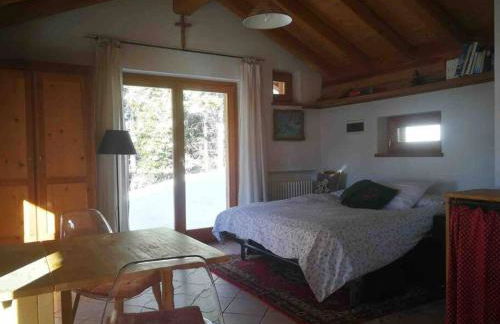 LA VOCE DEL BOSCO Selva di Cadore - Foto 17