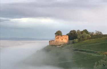 Apartment Kaminblick EuropaPark in ca 15 min erreichbar - Foto 56