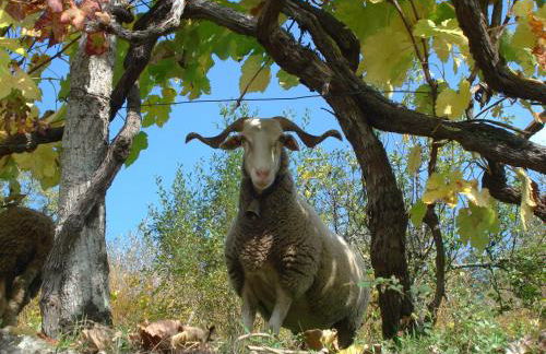 Casa do Moleiro - Foto 28