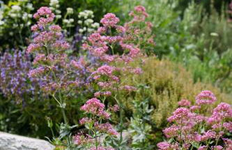 Domaine de la barbeirasse - Foto 44