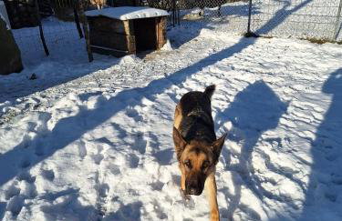 Ferienwohnungen Bunge - Photo 24