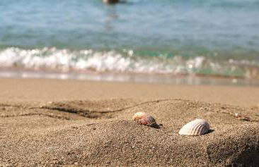 dimora la torre - Foto 13