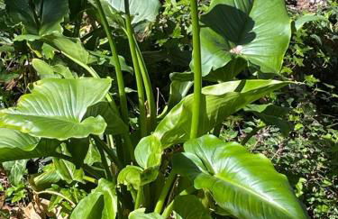 Agriturismo Podere Marchiano - Foto 143