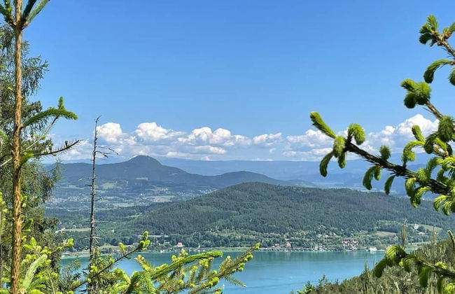 Wellness Apartment Keutschach Lakes Valley - Photo 19