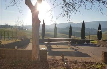 Agriturismo La Valle della Lavanda - Podere Mezzastrada - Foto 11