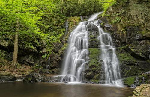 The Chalet At Greenbriar Creek - Pickleball Court, Creek, WIFI, Mountain Views, Starting at 79" - Photo 41