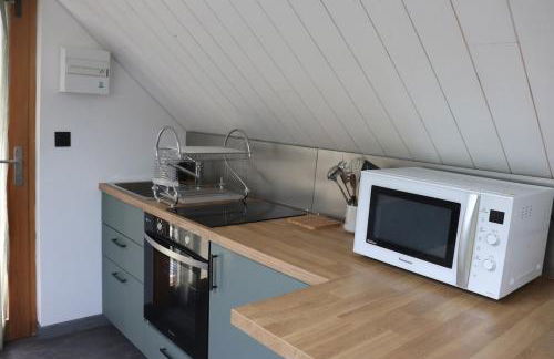 Studio au cœur du sancy - Foto 10