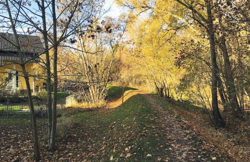 Ferienappartement Bachstelze - Foto 37