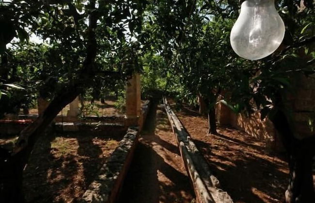 Masseria Maccarone - Photo 35