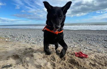 Rural Long Term Accommodation - Foto 56