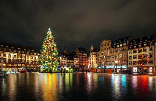 Cosy apartment on Strasbourg Tramway line and Canal - Appartement confortable sur ligne tram Strasbourg et Canal - Foto 47