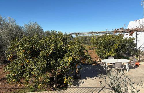 Casa rural Los Girasoles - Foto 37