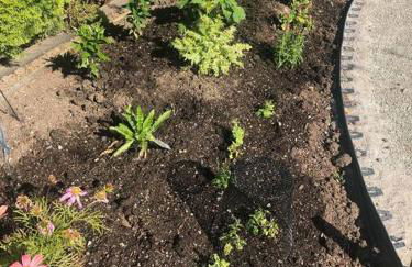 1-Bedroom Seaview Guesthouse on Seattle Luxury Estate with Views of Olympic Mountains - Foto 43