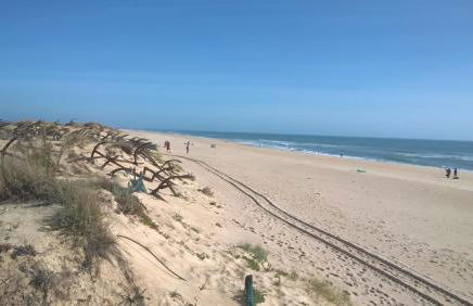 Garden Apartment Quinta do Morgado - Foto 40