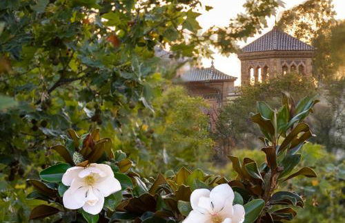 Villa Alfonso, Restored Palace House with gardens and Monuments Views - Foto 67