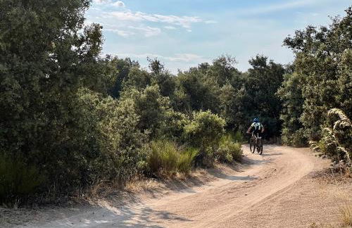 Casa La Colmena Ávila - Foto 31