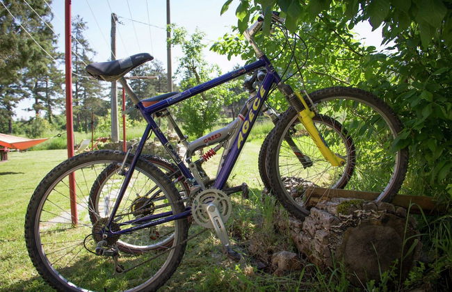 Holiday Home in Pietrafitta Near Lake Trasimeno - Photo 18