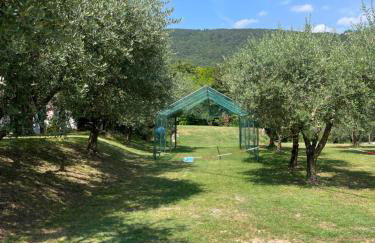 La Zinevrela - Foto 33