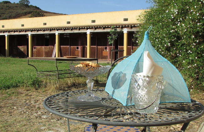 Cavalli di S'Arcaite - Foto 40