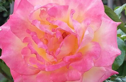 Marlingsuites - Vinea - Wieser Josef - Marling - Foto 49