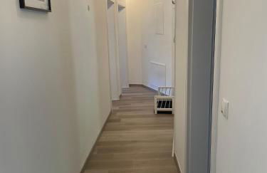 Holunder nah am Waldsee 2 - Foto 17