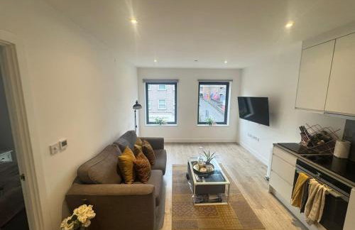 JVL Nice Cosy 1BR Flat Purley, London - Foto 53