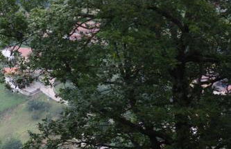 Apartamentos Valdecarzana Senda del Oso - Foto 31