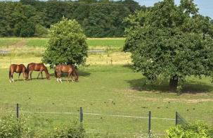 Kleinholthof Kevelaer - Foto 16