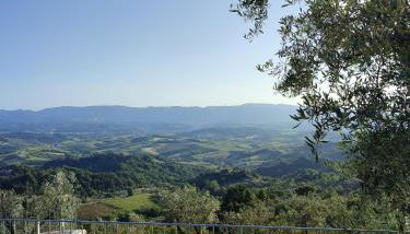 Agriturismo Cafaggio Primo - Foto 3