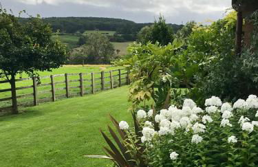 The Burrow - Foto 17