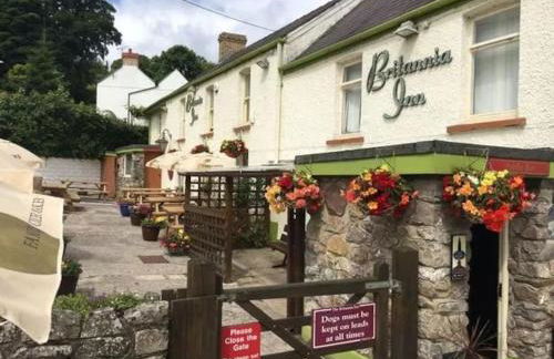 The Danes Gower, Llanmadoc, Gower Peninsula, Wales - Foto 42