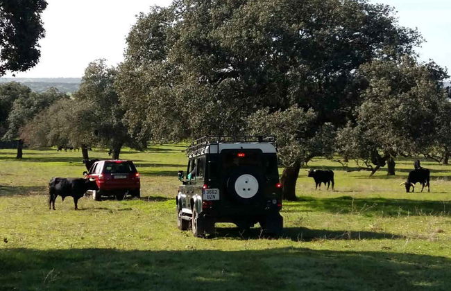 Tour del toro en 4x4 por los Llanos de Olivenza - Photo 3