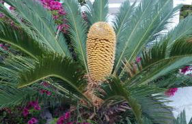 Villa Anna Maria - Foto 66