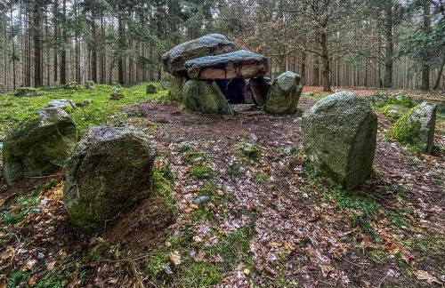 Ruhige Ferienwohnung in Wismar - Foto 20