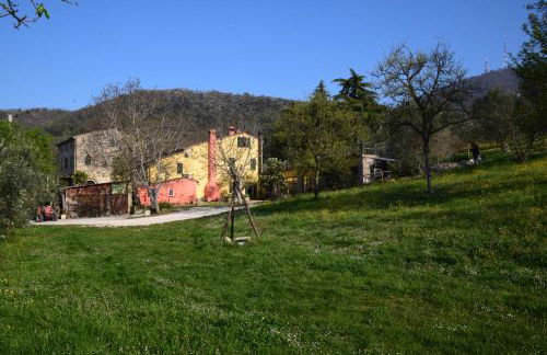 Agriturismo Podere Villa Alessi - Foto 12