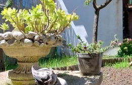 Shanti Ca' casa indipendente con giardino - Foto 18