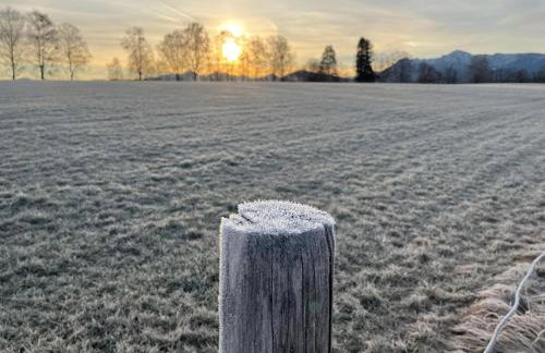 FÜNF ROSEN Boutique Apartment - Bio-Ferienwohnung am Staffelsee im Blauen Land - Foto 19