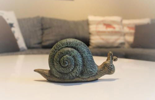 Schneckenhaus - Foto 3