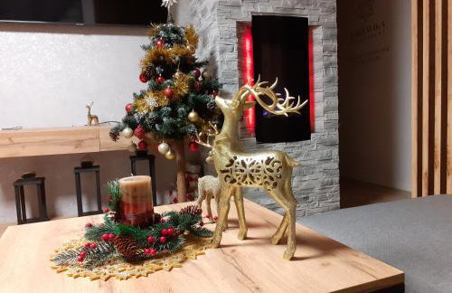 Apartament TatraVika - Photo 48