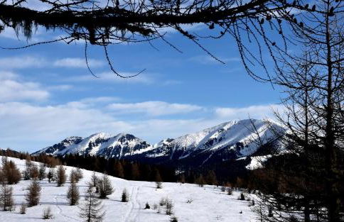 Ca' del Pettirosso - Foto 44