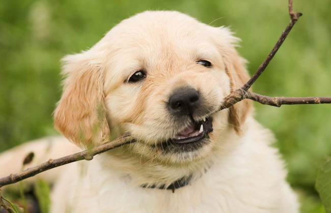 Tranquil Eifel Hideaway - Photo 21